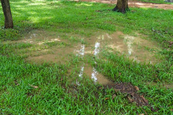 Cost of Storm Water Drainage Service in Flint