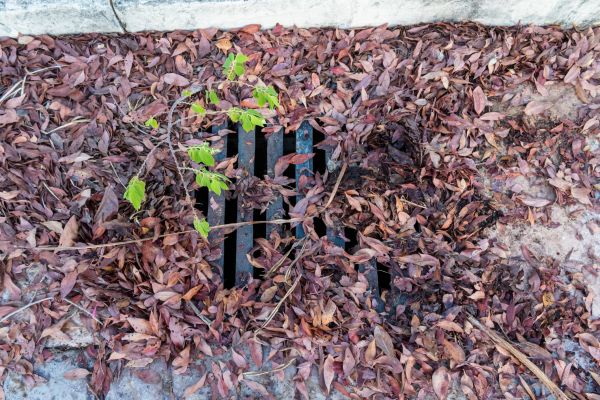 Cost of Yard Drain Unclogging in Flint