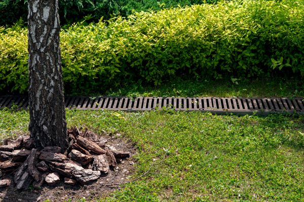 Cost of Wet Yard Drainage in Flint