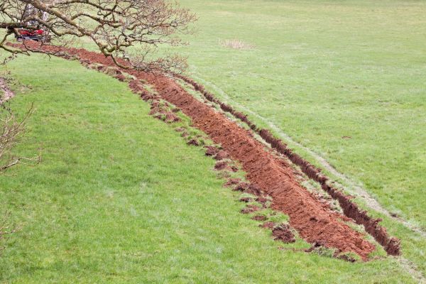 Cost of Swale Installation in Flint