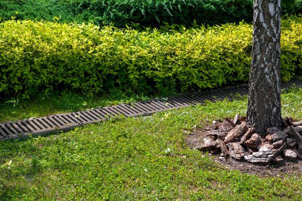 Cost of Residential Landscape Drainage in Flint