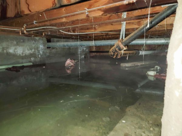 Cost of Crawlspace Drainage in Flint