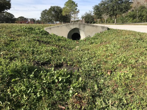 Cost of Swale Drainage Service in Flint