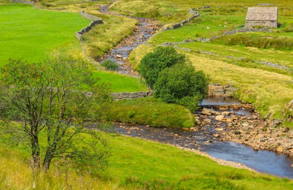 Cost of Swale Repair in Flint